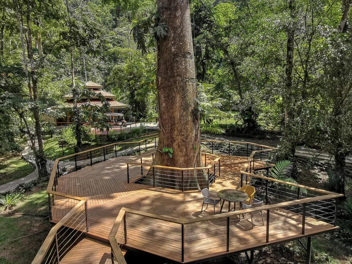 Pacuare Lodge By Boeena Limon Bagian luar foto